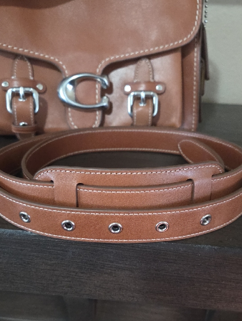 Coach Wester Tabby, Saddle Color Leather Shoulder Bag with Silver Hardware - Picture 2 of 16